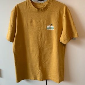 patagonia t shirt